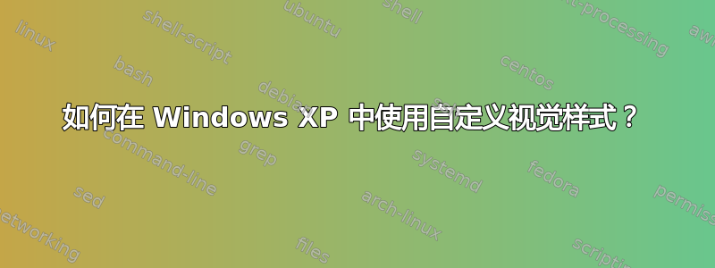 如何在 Windows XP 中使用自定义视觉样式？