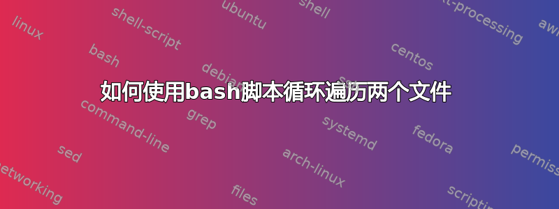 如何使用bash脚本循环遍历两个文件