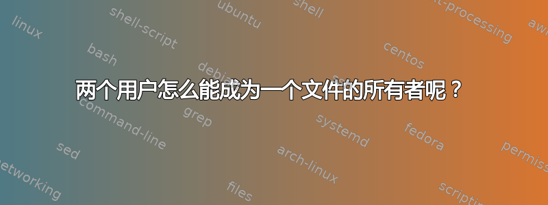 两个用户怎么能成为一个文件的所有者呢？