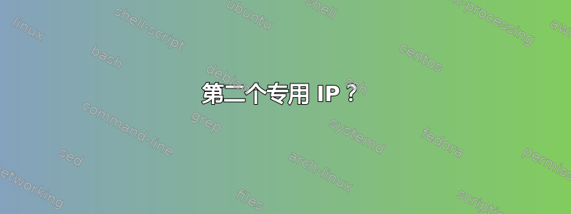 第二个专用 IP？