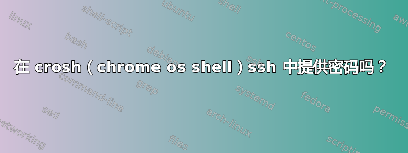 在 crosh（chrome os shell）ssh 中提供密码吗？