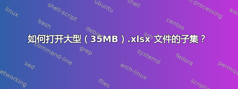 如何打开大型（35MB）.xlsx 文件的子集？