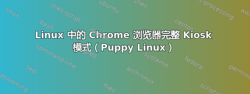 Linux 中的 Chrome 浏览器完整 Kiosk 模式（Puppy Linux）