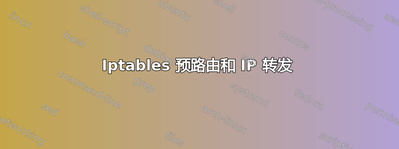 Iptables 预路由和 IP 转发