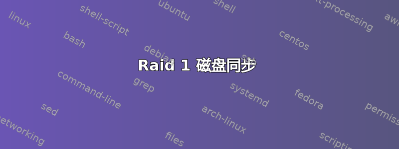 Raid 1 磁盘同步