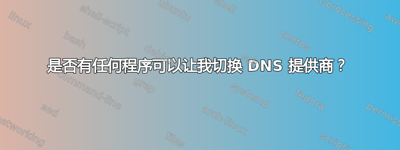 是否有任何程序可以让我切换 DNS 提供商？