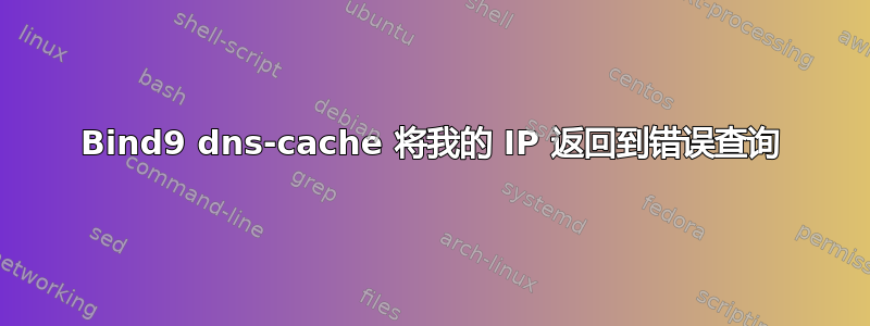 Bind9 dns-cache 将我的 IP 返回到错误查询