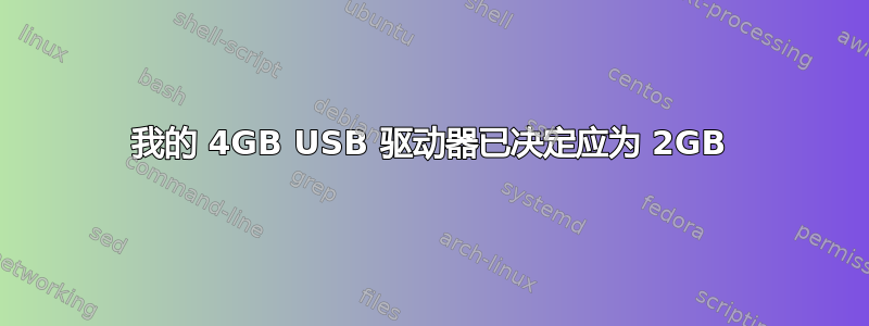 我的 4GB USB 驱动器已决定应为 2GB