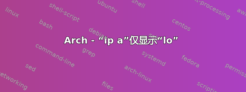 Arch - “ip a”仅显示“lo”