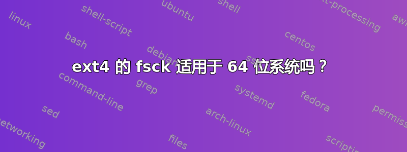 ext4 的 fsck 适用于 64 位系统吗？