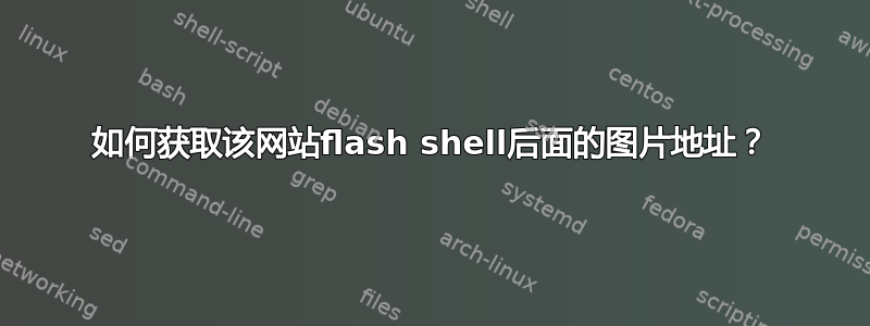 如何获取该网站flash shell后面的图片地址？