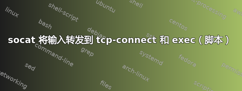 socat 将输入转发到 tcp-connect 和 exec（脚本）