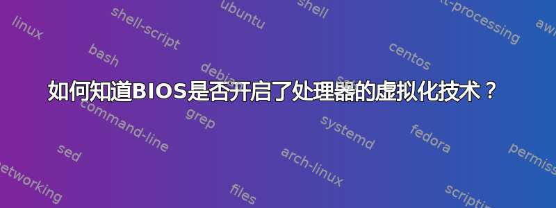 如何知道BIOS是否开启了处理器的虚拟化技术？