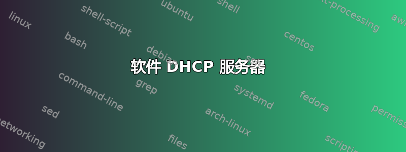 软件 DHCP 服务器 