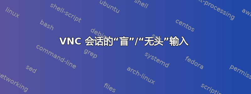 VNC 会话的“盲”/“无头”输入