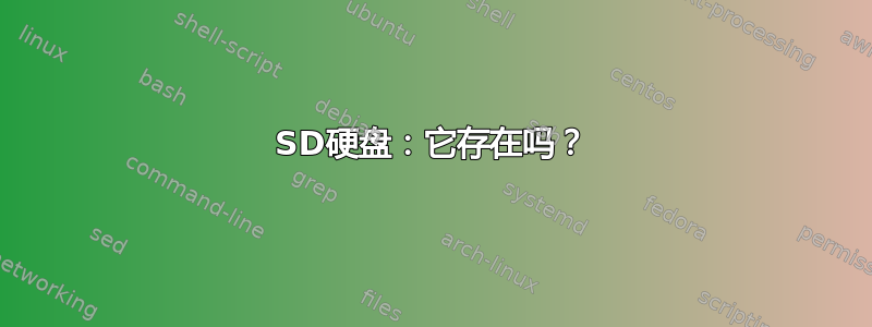 SD硬盘：它存在吗？