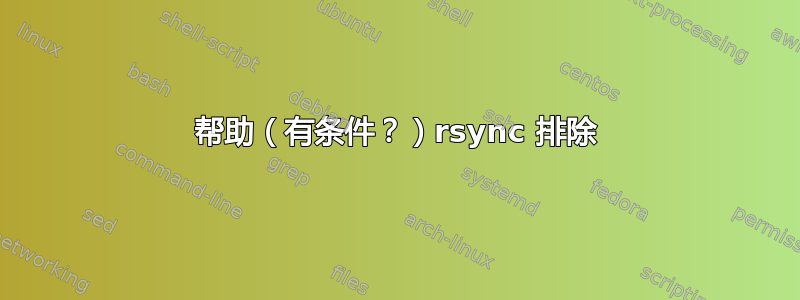 帮助（有条件？）rsync 排除