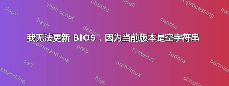 我无法更新 BIOS，因为当前版本是空字符串