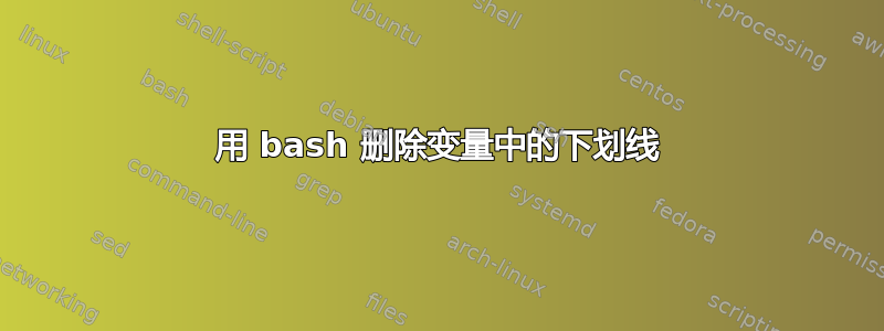 用 bash 删除变量中的下划线