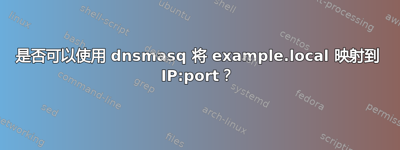 是否可以使用 dnsmasq 将 example.local 映射到 IP:port？