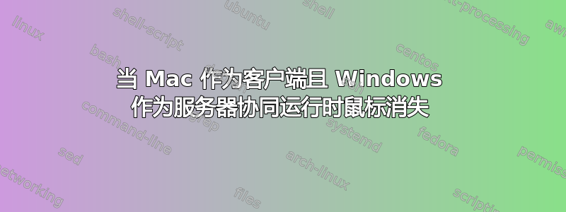 当 Mac 作为客户端且 Windows 作为服务器协同运行时鼠标消失