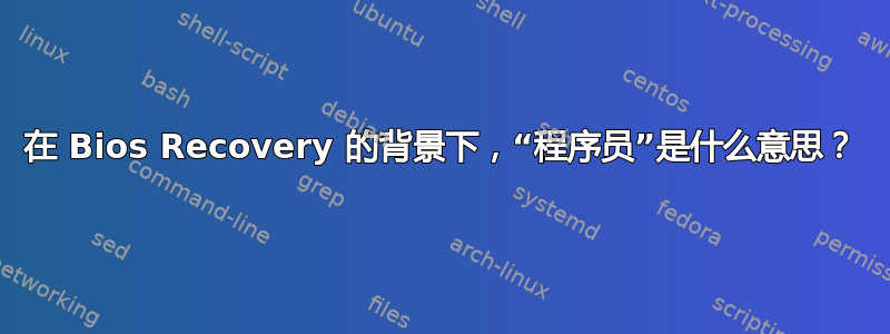 在 Bios Recovery 的背景下，“程序员”是什么意思？