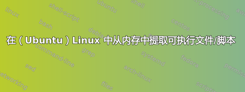 在（Ubuntu）Linux 中从内存中提取可执行文件/脚本