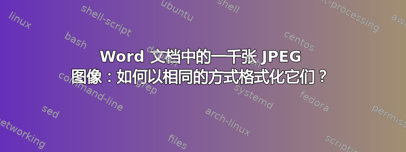 Word 文档中的一千张 JPEG 图像：如何以相同的方式格式化它们？