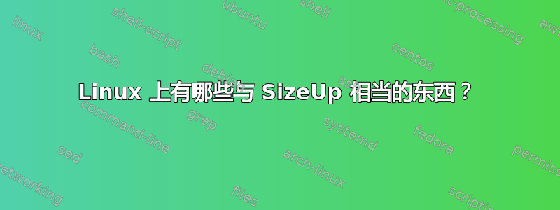 Linux 上有哪些与 SizeUp 相当的东西？