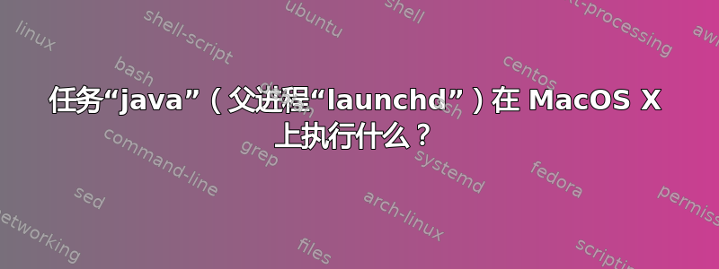 任务“java”（父进程“launchd”）在 MacOS X 上执行什么？