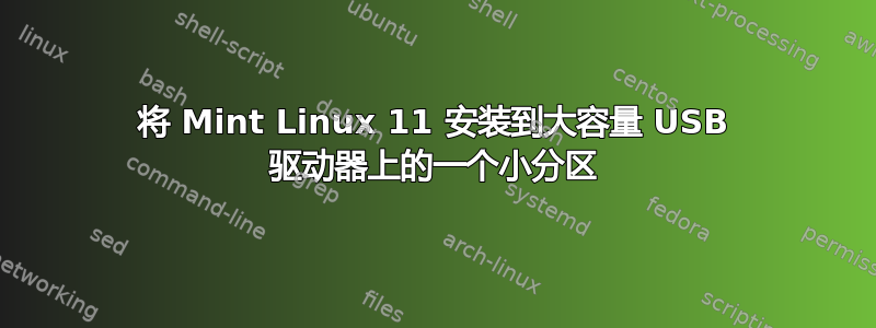 将 Mint Linux 11 安装到大容量 USB 驱动器上的一个小分区