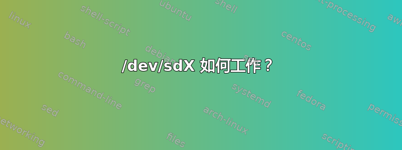 /dev/sdX 如何工作？