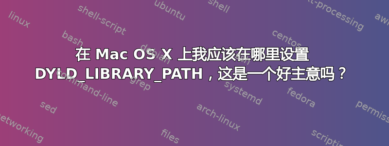 在 Mac OS X 上我应该在哪里设置 DYLD_LIBRARY_PATH，这是一个好主意吗？