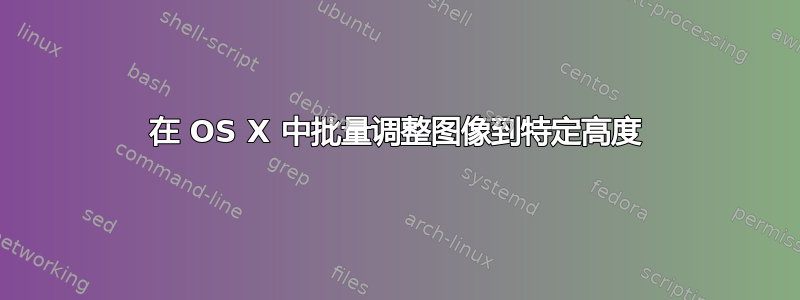 在 OS X 中批量调整图像到特定高度