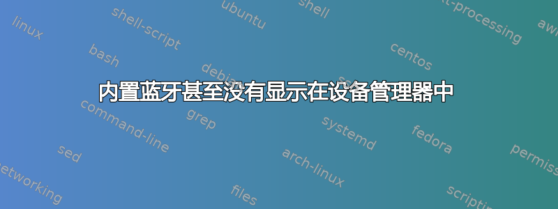 内置蓝牙甚至没有显示在设备管理器中