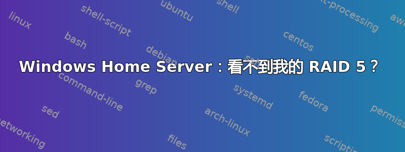 Windows Home Server：看不到我的 RAID 5？