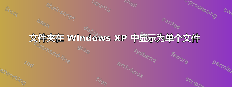 文件夹在 Windows XP 中显示为单个文件