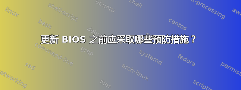 更新 BIOS 之前应采取哪些预防措施？