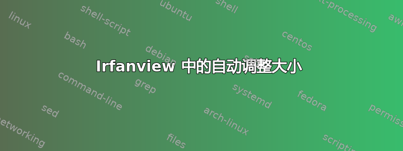 Irfanview 中的自动调整大小