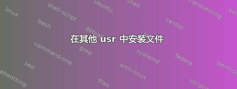 在其他 usr 中安装文件