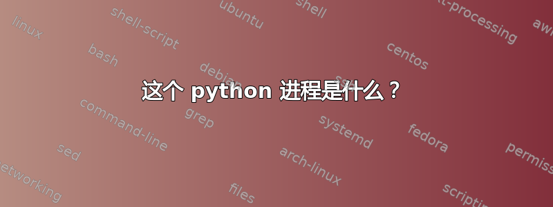 这个 python 进程是什么？