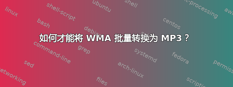 如何才能将 WMA 批量转换为 MP3？