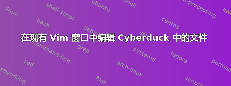 在现有 Vim 窗口中编辑 Cyber​​duck 中的文件