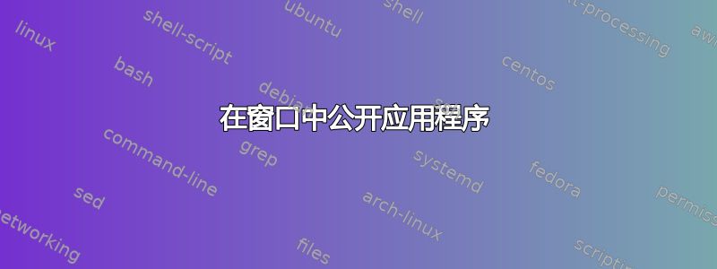 在窗口中公开应用程序