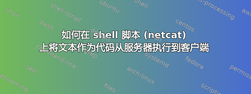 如何在 shell 脚本 (netcat) 上将文本作为代码从服务器执行到客户端