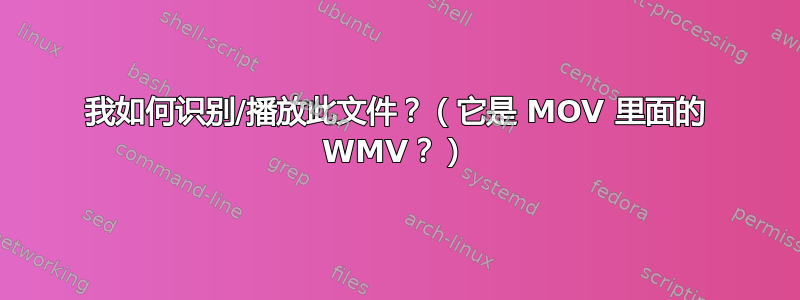 我如何识别/播放此文件？（它是 MOV 里面的 WMV？）