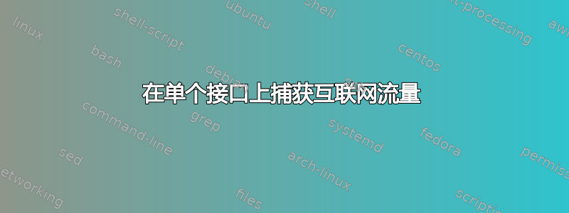 在单个接口上捕获互联网流量