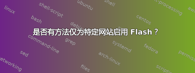 是否有方法仅为特定网站启用 Flash？