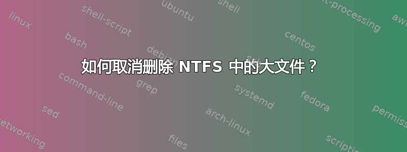 如何取消删除 NTFS 中的大文件？