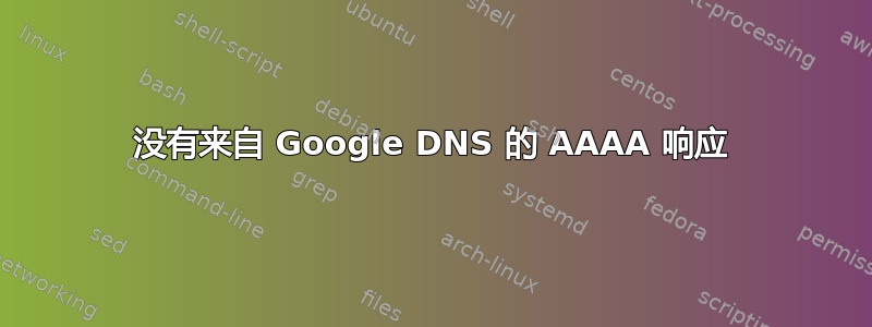 没有来自 Google DNS 的 AAAA 响应